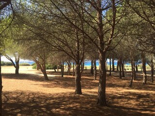 Ferienpark Ile Rousse Umgebung 30