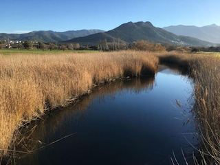 Ferienpark Ile Rousse Umgebung 26