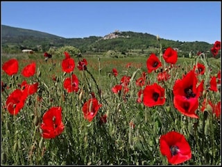 Ferienpark Lacoste Umgebung 32