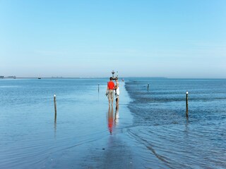 Vakantiepark Noirmoutier Omgeving 25