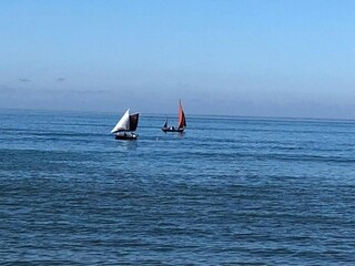 Holiday park Noirmoutier Environment 28