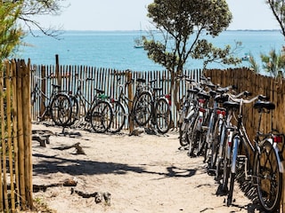 Vakantiepark Noirmoutier Omgeving 23