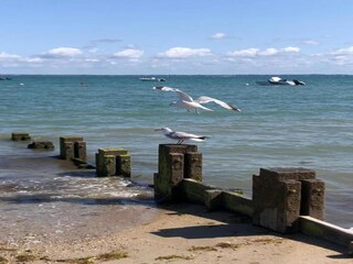 Parque de vacaciones Noirmoutier Entorno 33