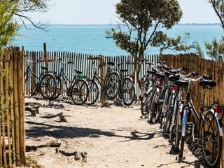 Parc de vacances Noirmoutier Environnement 36