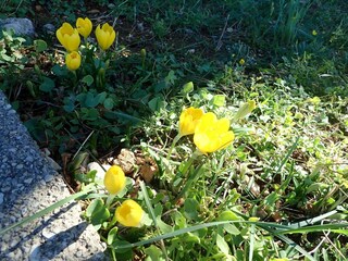 Appartamento Barić Draga Registrazione all'aperto 17