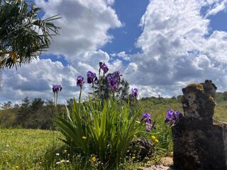 Vakantiepark Sarlat Omgeving 21