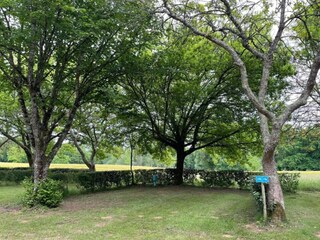 Parque de vacaciones Sarlat Entorno 31