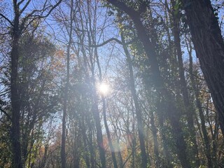 Parc de vacances Sarlat Environnement 19