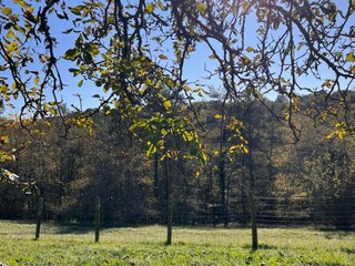 Parc de vacances Sarlat Environnement 20