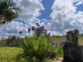 Vakantiepark Sarlat Omgeving 29