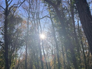 Parc de vacances Sarlat Environnement 31