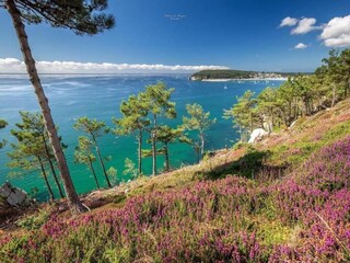Ferienpark Crozon Umgebung 28