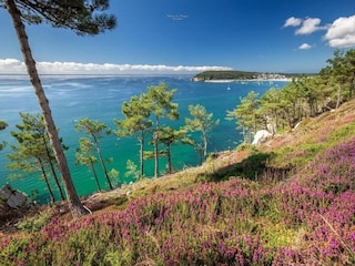 Ferienpark Crozon Umgebung 14