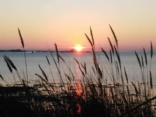 Vakantiepark Plougasnou Omgeving 19