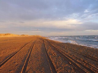 Parco vacanze Aigues Mortes Ambiente 15