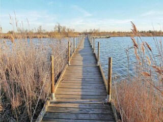 Vakantiepark Aigues Mortes Omgeving 14