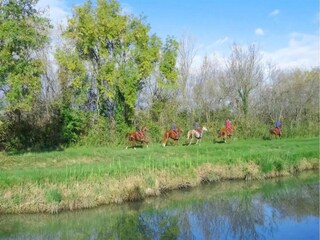 Ferienpark Aigues Mortes Umgebung 15