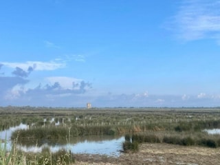 Parc de vacances Aigues Mortes Environnement 12