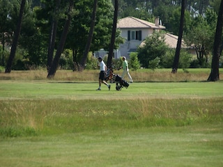 Holiday park Le Teich Environment 30