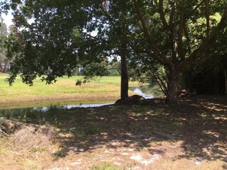 Parco vacanze Le Teich Ambiente 32