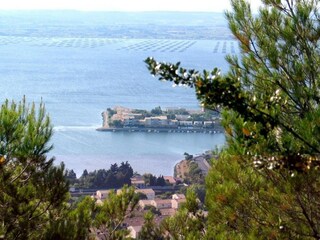 Parc de vacances Cap d'Agde Environnement 25