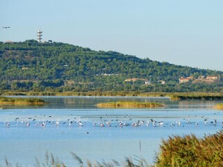 Vakantiepark Cap d'Agde Omgeving 26