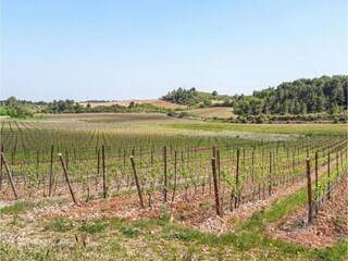 Parco vacanze Cap d'Agde Ambiente 15