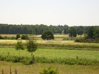 Parc de vacances Le Tronchet Environnement 33