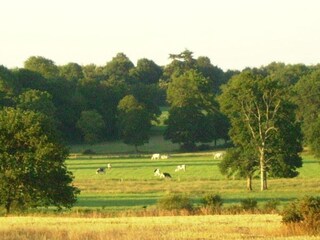 Parc de vacances Le Tronchet Environnement 29