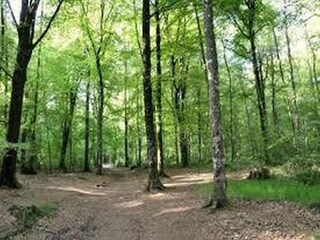 Ferienpark Le Tronchet Umgebung 13