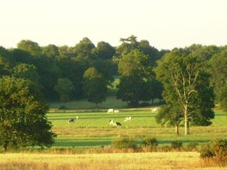 Parc de vacances Le Tronchet Environnement 36