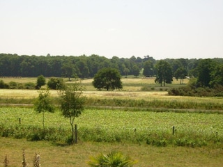 Vakantiepark Le Tronchet Omgeving 25