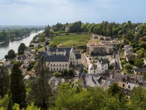 Vakantiepark Appartement in middeleeuws Chinon in Loire - Quinon - image1