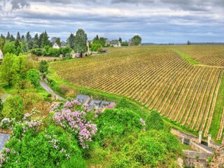 Vakantiepark Chinon Omgeving 25