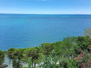 Vakantiepark Le Bourg d'Oisans Omgeving 24