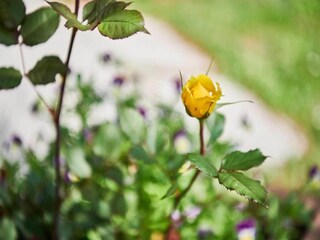 Vakantiepark Le Bourg d'Oisans Omgeving 18