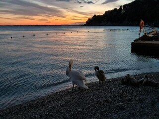 Parc de vacances Le Bourg d'Oisans Environnement 22