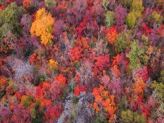 Parc de vacances Le Bourg d'Oisans Environnement 29