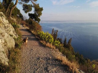 Parc de vacances Le Bourg d'Oisans Environnement 32