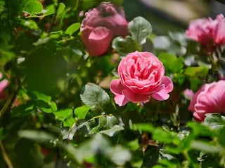 Ferienpark Le Bourg d'Oisans Umgebung 17