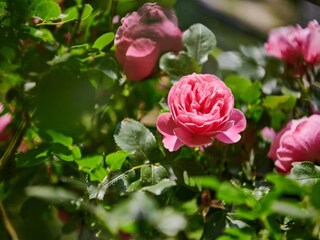 Vakantiepark Le Bourg d'Oisans Omgeving 17