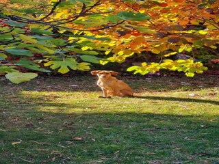 Parque de vacaciones Le Bourg d'Oisans Entorno 18
