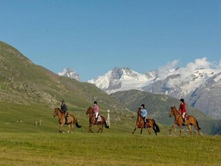 Parc de vacances Huez Environnement 22
