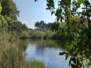 Holiday park Moliets-Plage Environment 35