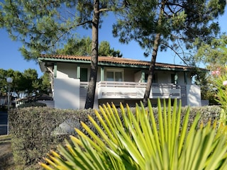 Ferienpark Moliets-Plage Außenaufnahme 6