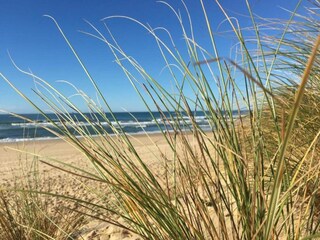 Parco vacanze Moliets-Plage Ambiente 34