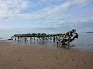 Parc de vacances Saint-Nazaire Environnement 24