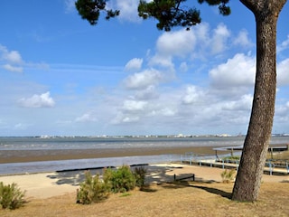 Vakantiepark Saint-Nazaire Omgeving 26