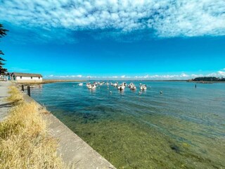 Parco vacanze Le Pouliguen Ambiente 33