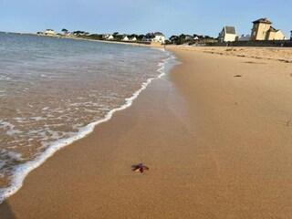 Parco vacanze Le Pouliguen Ambiente 37